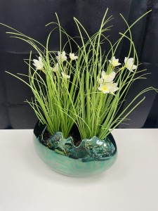 Skorupka butelkowa zieleń 12  