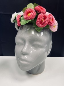 Donica szara  głowa 20  