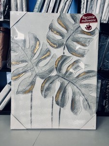 Obraz kwiat monstera 80 