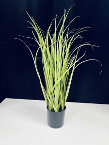 Trawa  prosta mini 57