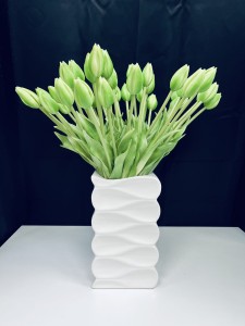 Tulipan gumowy limonka   w pąku 45