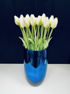 Tulipan gumowy biało-zielony w pąku 45