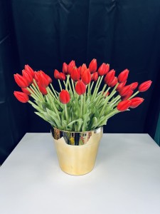 Tulipan gumowy czerwony w pąku 45