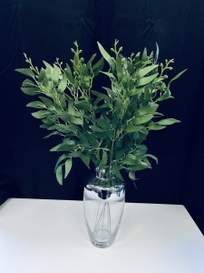 Gałązka zielona 60