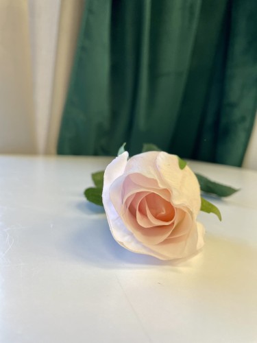 5217E31C-F935-4415-8B8B-4A6FF5F92652.jpeg