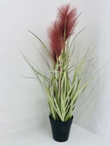 Trawa pampasowa brudny róż 55 