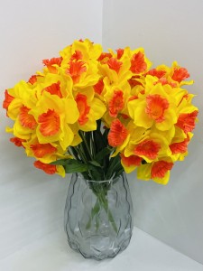 Żonkil żółto-pomarańczowy 43  