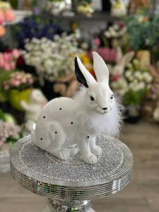 Zając biały Premium 29