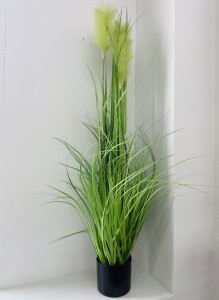 Trawa pampasowa limonka 150  