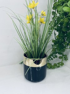 Osłonka  czarno -złota  10 