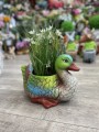 C61BB88B-EB7C-492C-8ED6-BBA048AB8120.jpeg