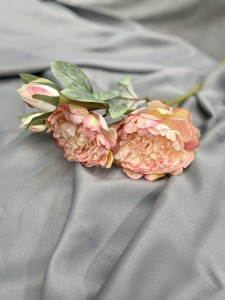 Piwonia jasny róż 60