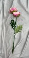 83953B76-BD0A-49DC-A4BB-60235890A245.jpeg