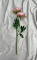 094006C2-41B6-4364-888B-933667AD9EA9.jpeg