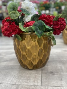 Donica złota z uszami 27