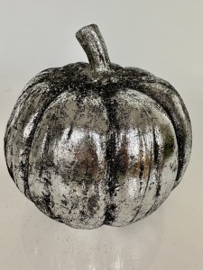 Dynia czarno-srebrna 22