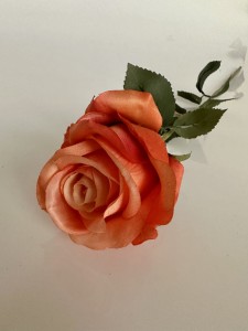 Róża pomarańczowa 60     