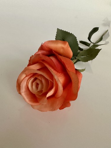 IMG_3038.jpeg