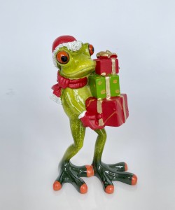 Żaba św. Mikołaj z prezentem 14