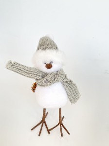 Ptaszek mix w czapeczce i szaliku 18