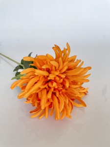 Chryzantema pomarańcz  75