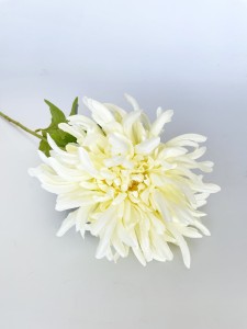 Chryzantema  biała   75  