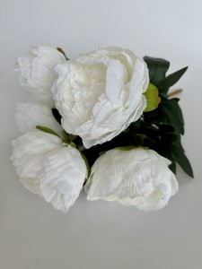 Bukiet biały   piwonii 47   