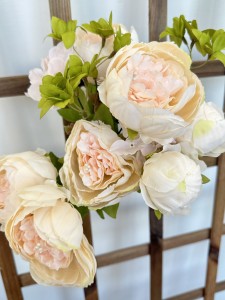 Bukiet piwonii morelowy   50    