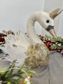 IMG_6658.jpeg