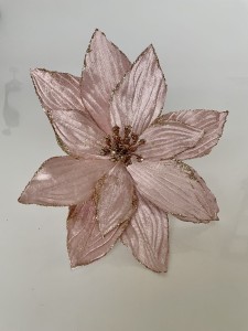 Gwiazda betlejemska różowa klips 16