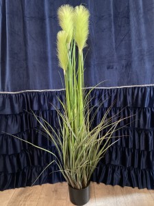 Trawa pampasowa limonkowa 125