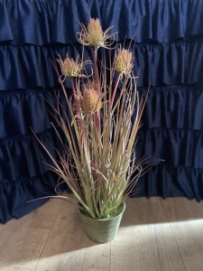 Trawa dekoracyjna 60