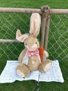 Zając z marchewką 32