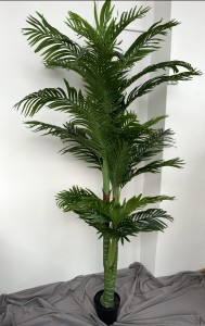 Palma gigant 210