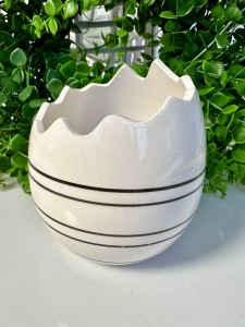 Skorupka biała w paski 12