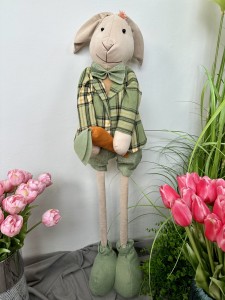 Pan zajączek zielony  na teleskopie 100  