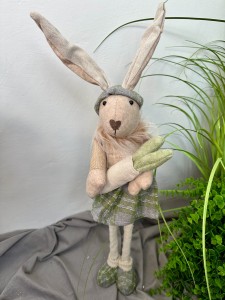 Pani zajączek krata   na teleskopie 60