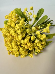 Gipsówka  żółty 25