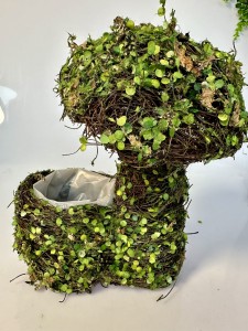 Osłonka  z grzybem 26