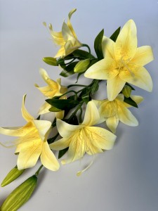 Lilia żółta   bukiet 66  