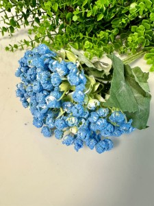 Gipsówka  niebieska 32