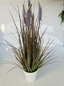 Trawa kwitnąca lawenda  60