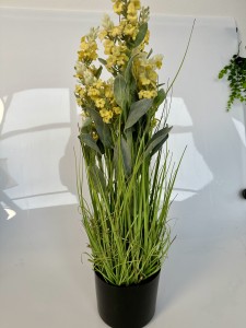 Trawa kwitnąca żółta 66