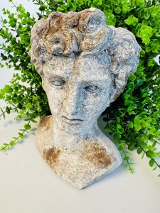 Donica głowa mężczyzny 27