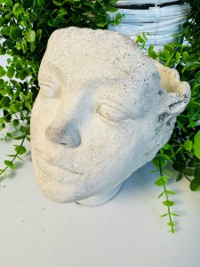 Donica głowa mężczyzny 19