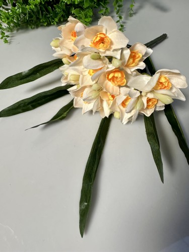 IMG_8160.jpeg