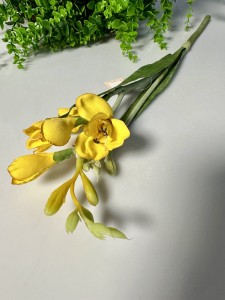 Frezja żółty  57 