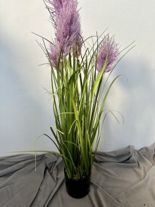 Trawa dekoracyjna pampas  fiolet   75