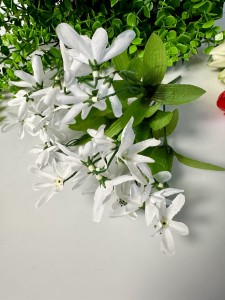 Przebiśnieg biały 26 