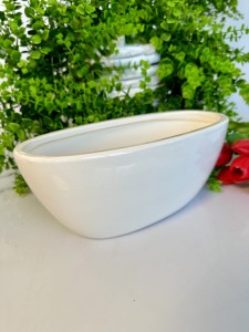 Rynienka biała    12 